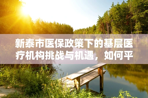新泰市医保政策下的基层医疗机构挑战与机遇，如何平衡资源与服务质量？