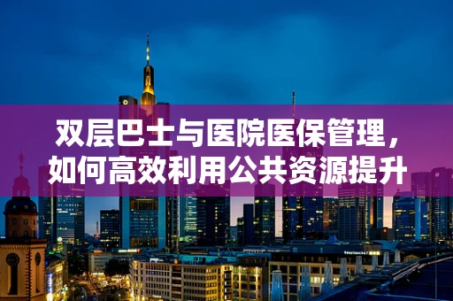 双层巴士与医院医保管理，如何高效利用公共资源提升服务效率？