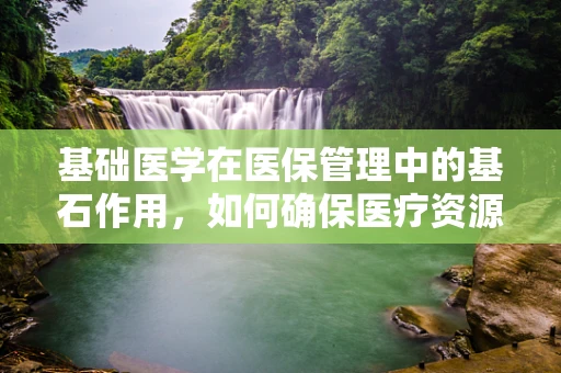基础医学在医保管理中的基石作用，如何确保医疗资源精准分配？