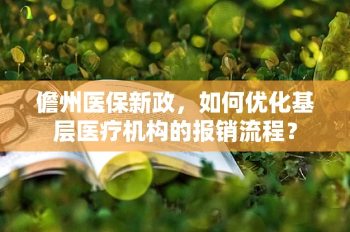 儋州医保新政，如何优化基层医疗机构的报销流程？