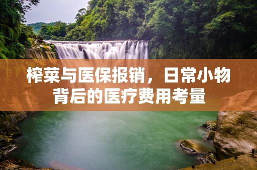 榨菜与医保报销，日常小物背后的医疗费用考量