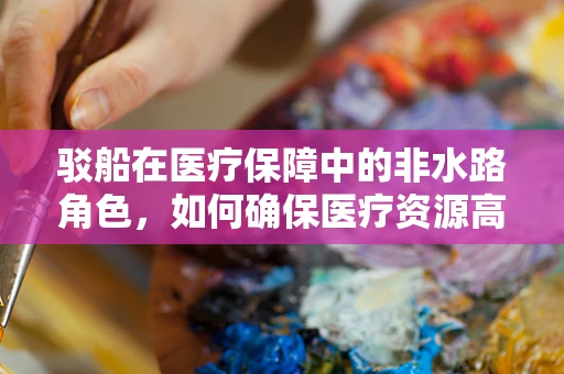 驳船在医疗保障中的非水路角色，如何确保医疗资源高效流转？