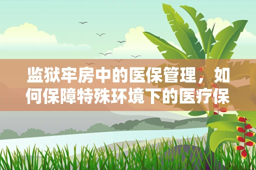 监狱牢房中的医保管理，如何保障特殊环境下的医疗保障？