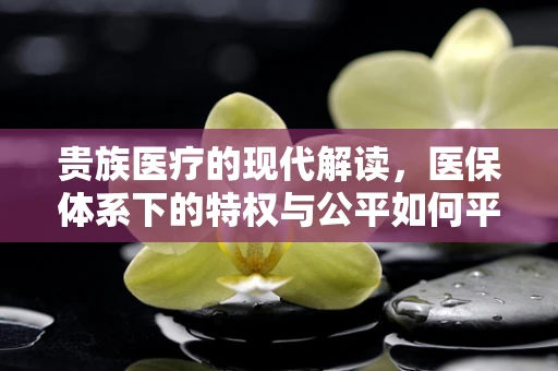 贵族医疗的现代解读，医保体系下的特权与公平如何平衡？