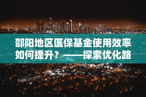 邵阳地区医保基金使用效率如何提升？——探索优化路径，确保资源高效利用