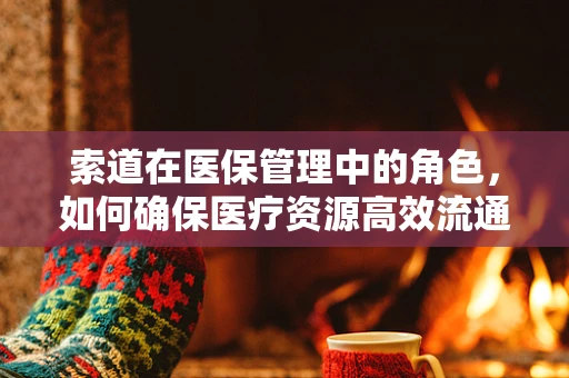 索道在医保管理中的角色，如何确保医疗资源高效流通？