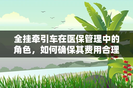 全挂牵引车在医保管理中的角色，如何确保其费用合理且安全使用？