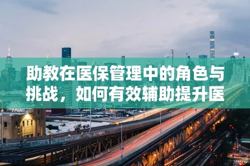 助教在医保管理中的角色与挑战，如何有效辅助提升医院医保服务效率？