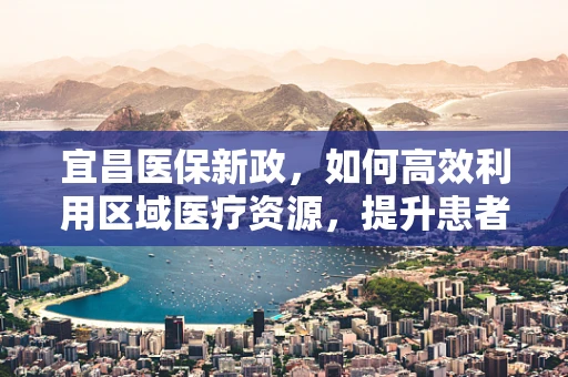 宜昌医保新政，如何高效利用区域医疗资源，提升患者就医体验？