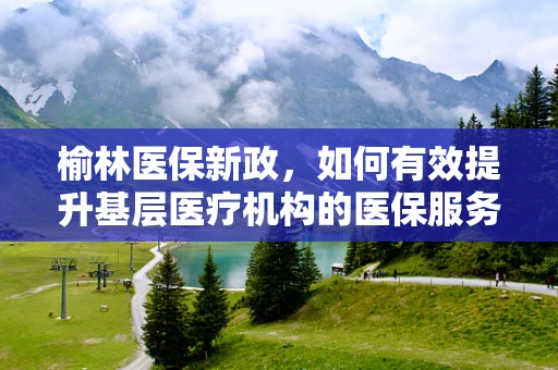 榆林医保新政，如何有效提升基层医疗机构的医保服务水平？