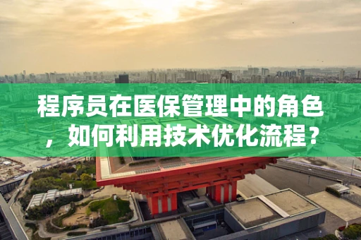 程序员在医保管理中的角色，如何利用技术优化流程？