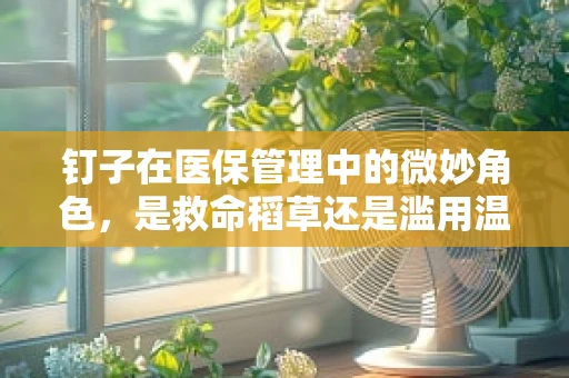 钉子在医保管理中的微妙角色，是救命稻草还是滥用温床？