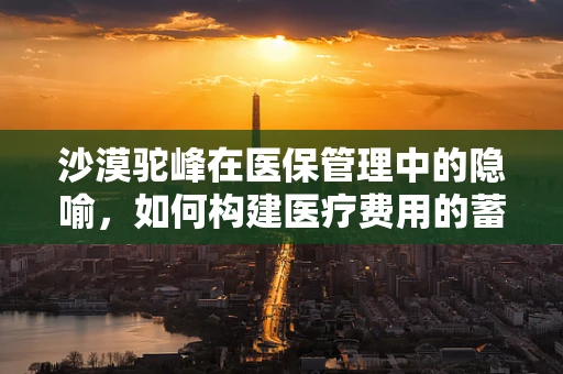 沙漠驼峰在医保管理中的隐喻，如何构建医疗费用的蓄水池？