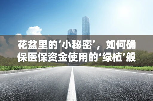 花盆里的‘小秘密’，如何确保医保资金使用的‘绿植’般健康？