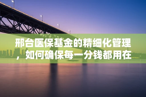 邢台医保基金的精细化管理，如何确保每一分钱都用在刀刃上？