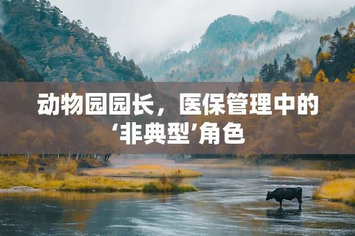 动物园园长，医保管理中的‘非典型’角色
