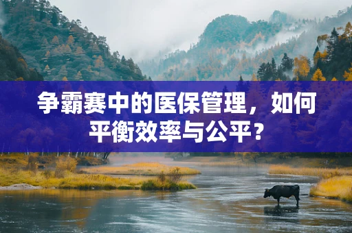 争霸赛中的医保管理，如何平衡效率与公平？