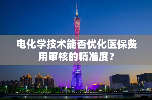 电化学技术能否优化医保费用审核的精准度？