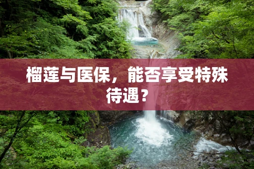 榴莲与医保，能否享受特殊待遇？