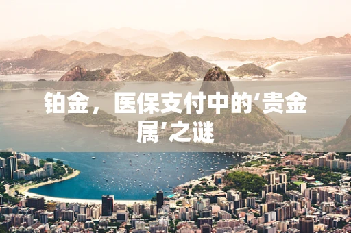 铂金，医保支付中的‘贵金属’之谜