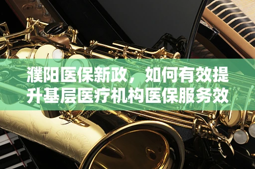 濮阳医保新政，如何有效提升基层医疗机构医保服务效率？
