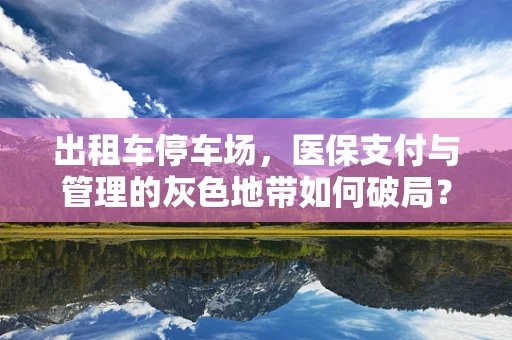 出租车停车场，医保支付与管理的灰色地带如何破局？