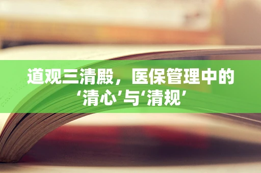 道观三清殿，医保管理中的‘清心’与‘清规’