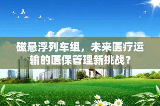 磁悬浮列车组，未来医疗运输的医保管理新挑战？
