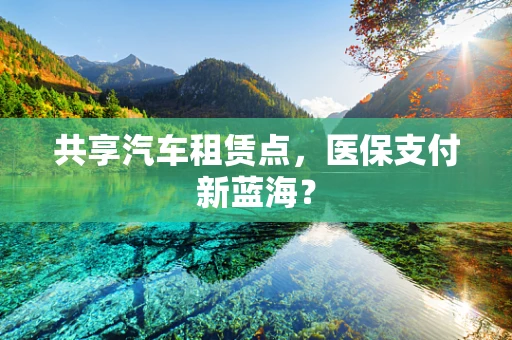 共享汽车租赁点，医保支付新蓝海？