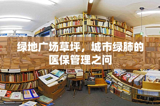 绿地广场草坪，城市绿肺的医保管理之问
