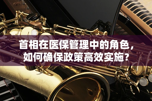 首相在医保管理中的角色，如何确保政策高效实施？