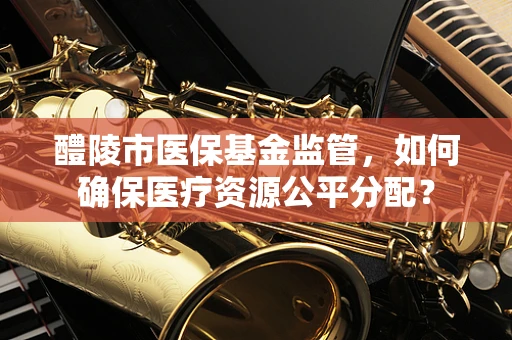 醴陵市医保基金监管，如何确保医疗资源公平分配？