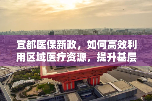 宜都医保新政，如何高效利用区域医疗资源，提升基层医疗服务质量？
