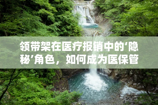 领带架在医疗报销中的‘隐秘’角色，如何成为医保管理中的小帮手？