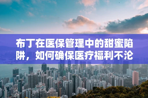 布丁在医保管理中的甜蜜陷阱，如何确保医疗福利不沦为滥用之选？