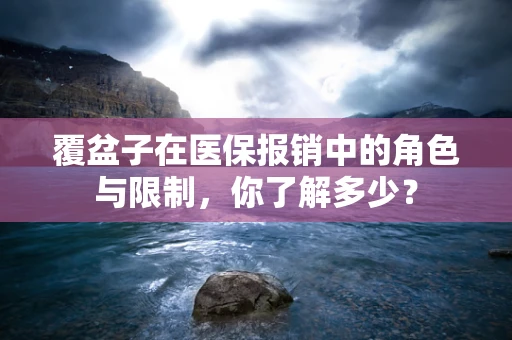 覆盆子在医保报销中的角色与限制，你了解多少？