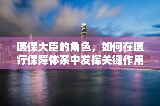 医保大臣的角色，如何在医疗保障体系中发挥关键作用？