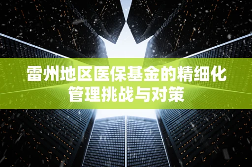 雷州地区医保基金的精细化管理挑战与对策