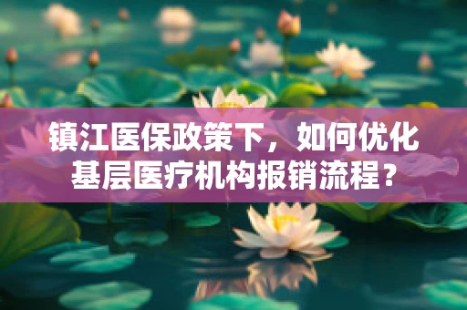 镇江医保政策下，如何优化基层医疗机构报销流程？