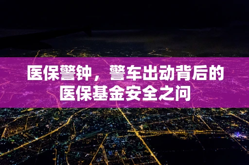 医保警钟，警车出动背后的医保基金安全之问