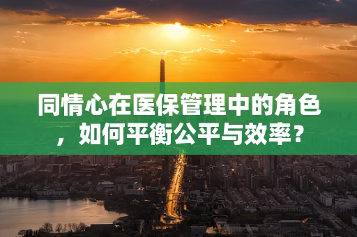 同情心在医保管理中的角色，如何平衡公平与效率？