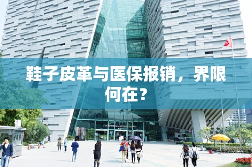 鞋子皮革与医保报销，界限何在？