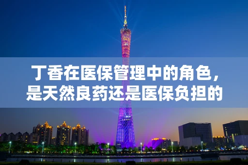 丁香在医保管理中的角色，是天然良药还是医保负担的‘甜蜜负担’？