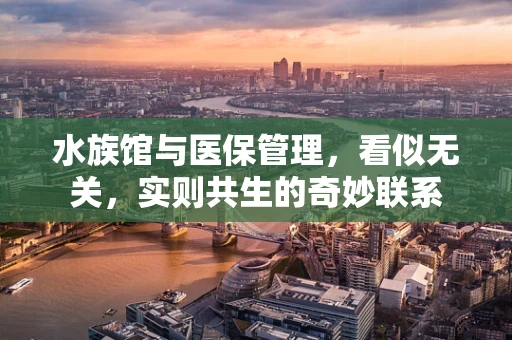 水族馆与医保管理，看似无关，实则共生的奇妙联系