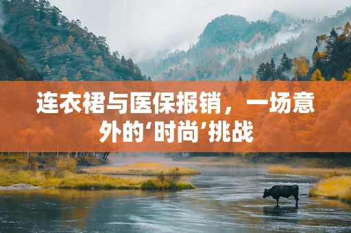 连衣裙与医保报销，一场意外的‘时尚’挑战