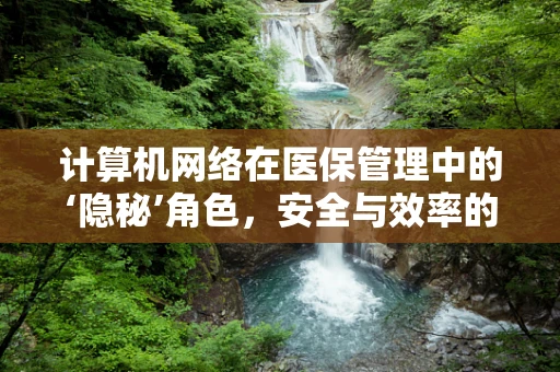 计算机网络在医保管理中的‘隐秘’角色，安全与效率的双重守护