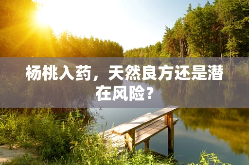 杨桃入药，天然良方还是潜在风险？