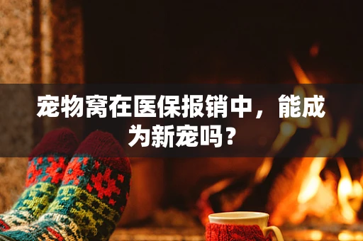 宠物窝在医保报销中，能成为新宠吗？