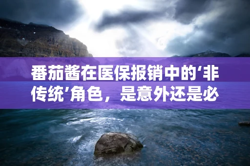 番茄酱在医保报销中的‘非传统’角色，是意外还是必然？