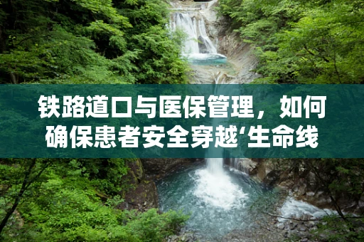 铁路道口与医保管理，如何确保患者安全穿越‘生命线’？